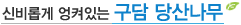 구담 당산나무
